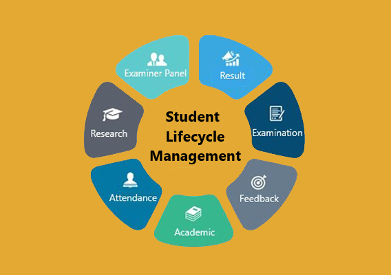 life cycle